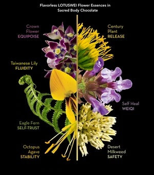 SACRED BODY DARK CHOCOLATE